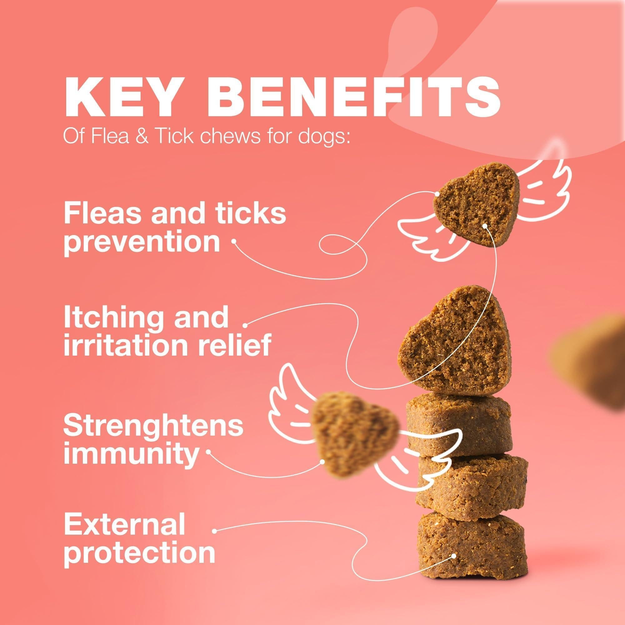 Dog Insects Treatment Chews Prevention for Dogs Natural Dog Insects Control