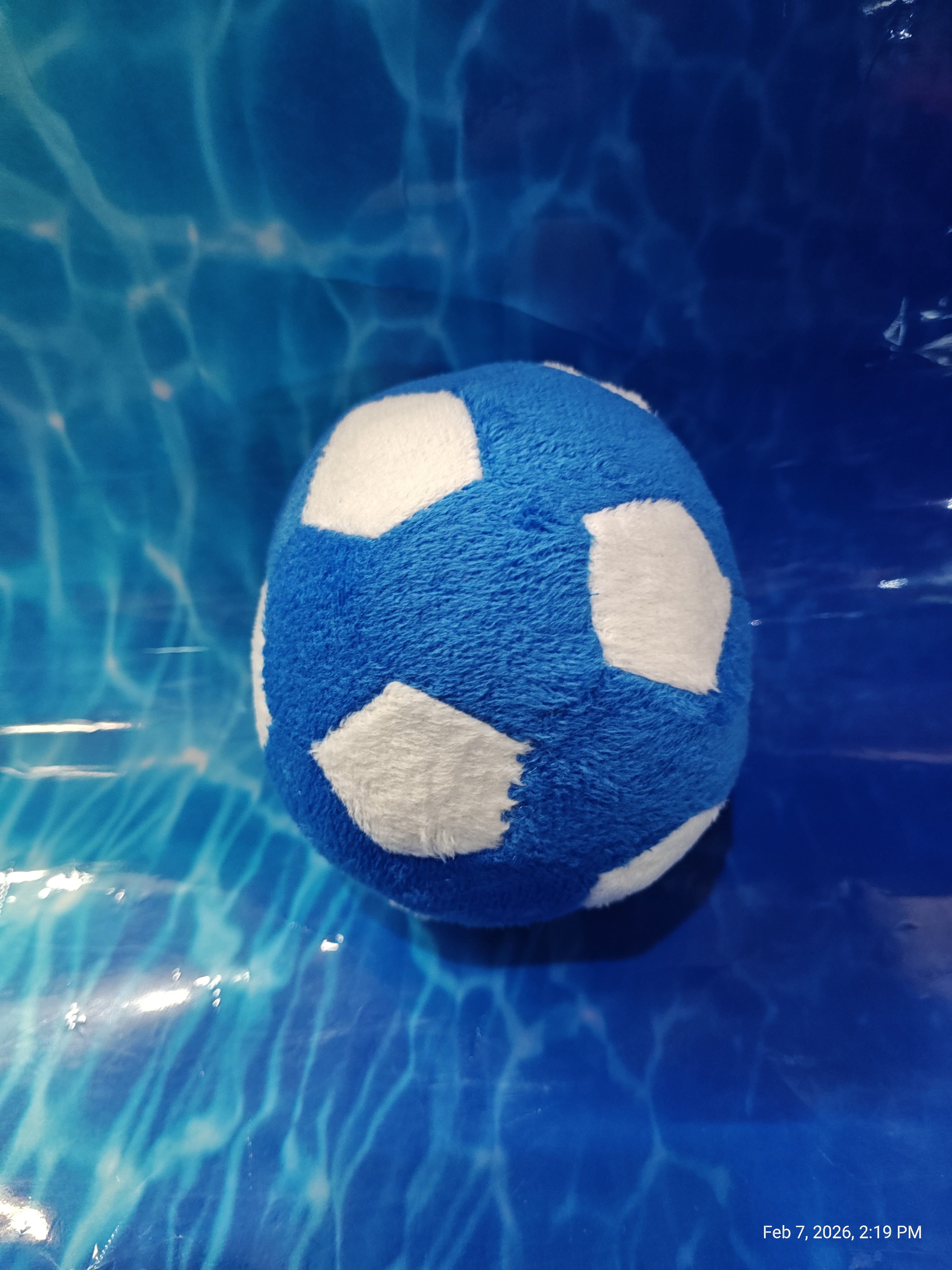 Small Dog Stuffy Toys – Cuddle-Worthy Companions by PNC Family Finds