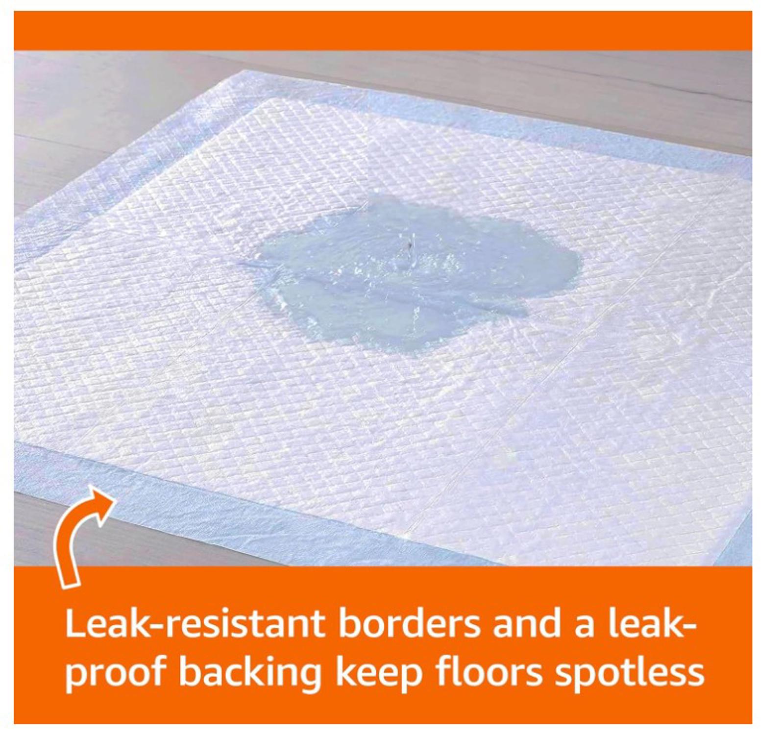 100 Count 22” x 22” Disposable Pads, Leakproof, Absorbent Quick Drying Pads