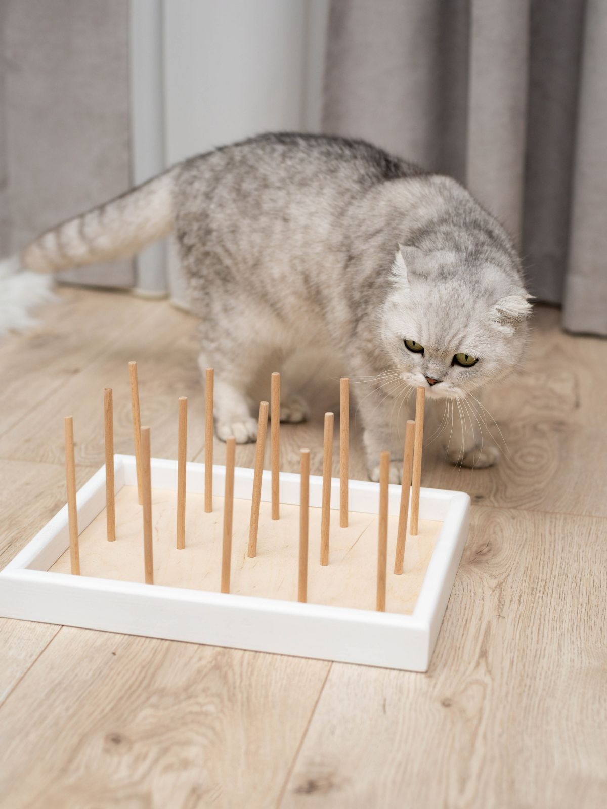 Cat chewing toy