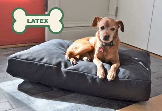 Hemp Dog Bed - Organic Natural Latex Foam Fill Orthopedic Support
