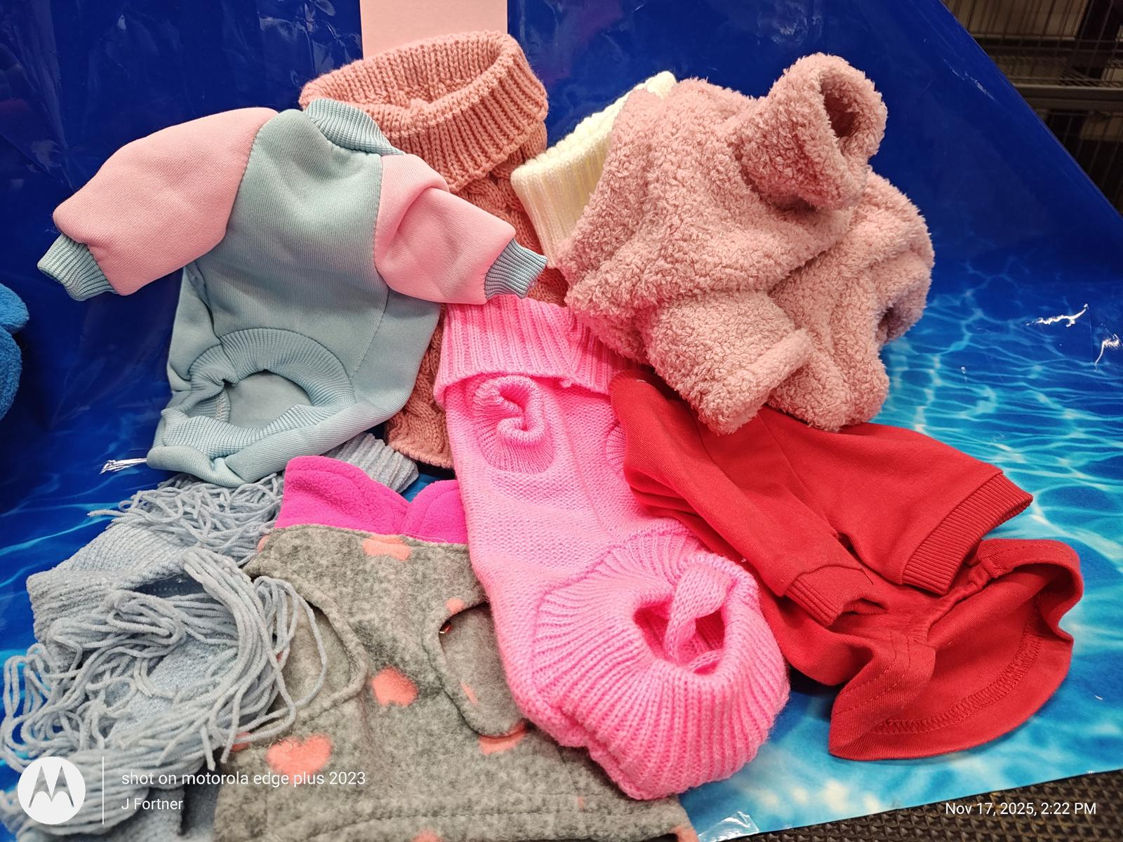 Dog Outfit Bundle ( Xtra Small 4 to 6 Pound Pets ) Brand New Save with a Bundle