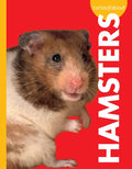 Curious about Hamsters - Paperback