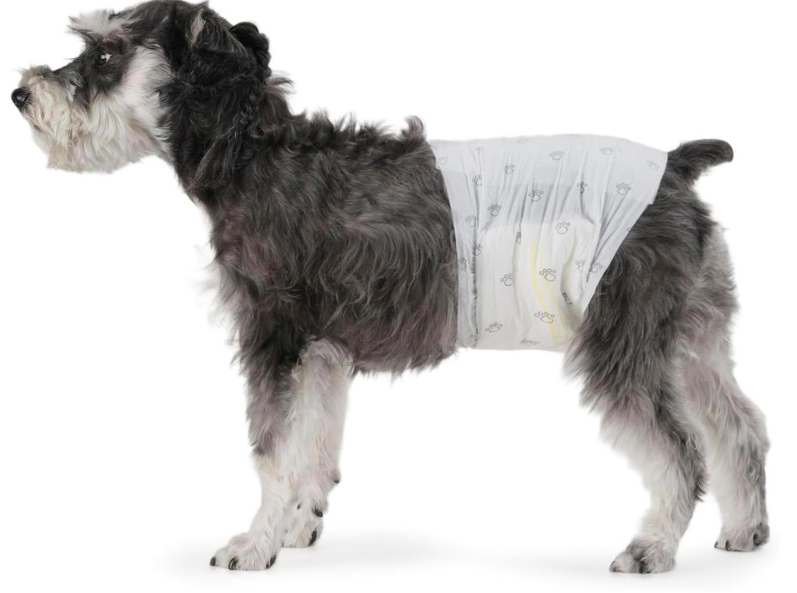 Male Dog Wraps, Disposable - Small Pack of 50 Wraps