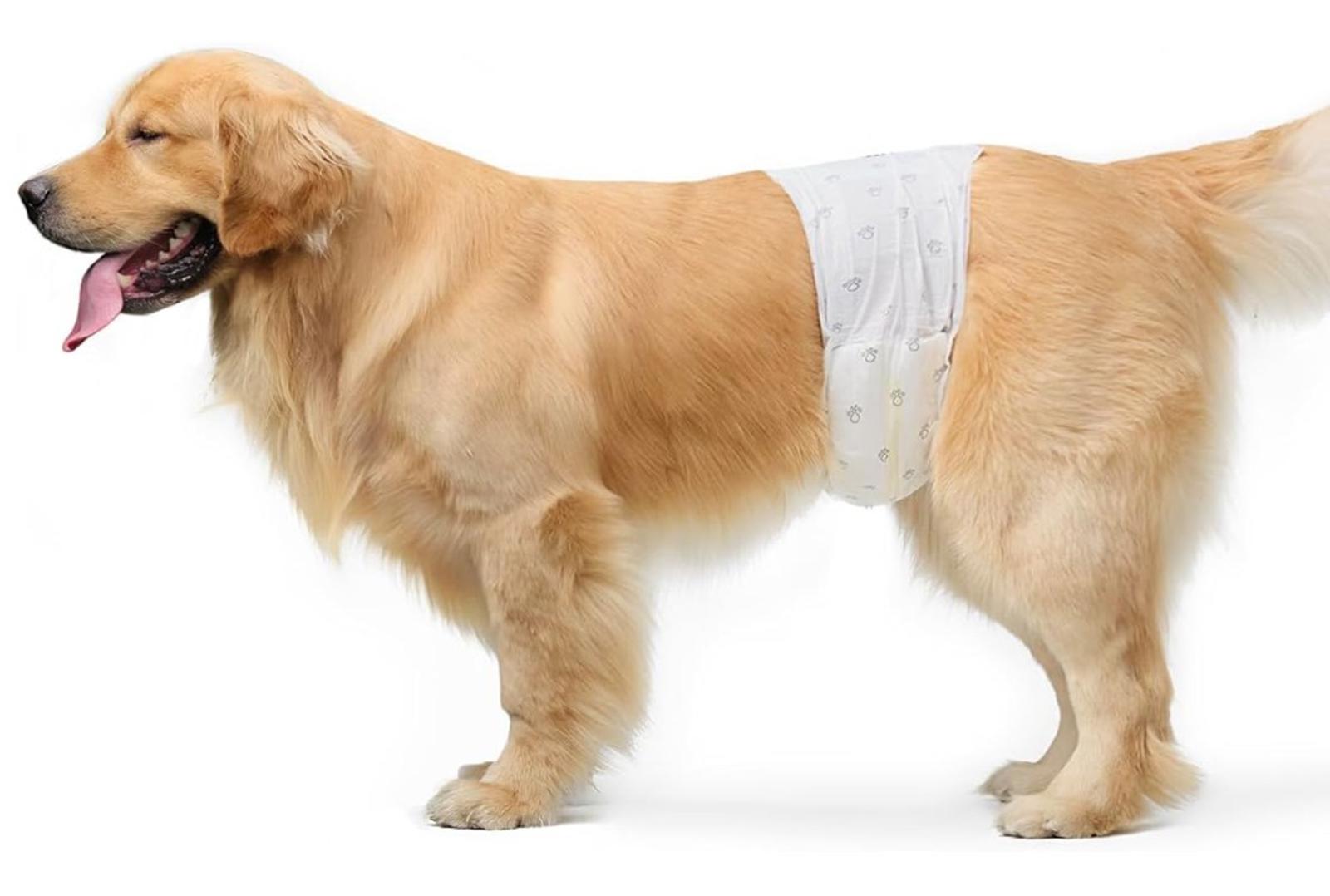 Male Dog Wraps, Disposable - Large Pack of 30 count