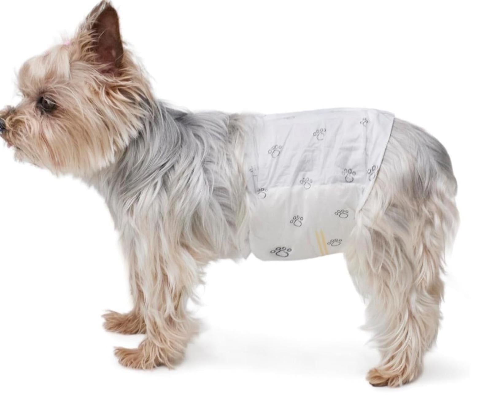 Male Dog Wraps, Disposable - Large Pack of 30 count