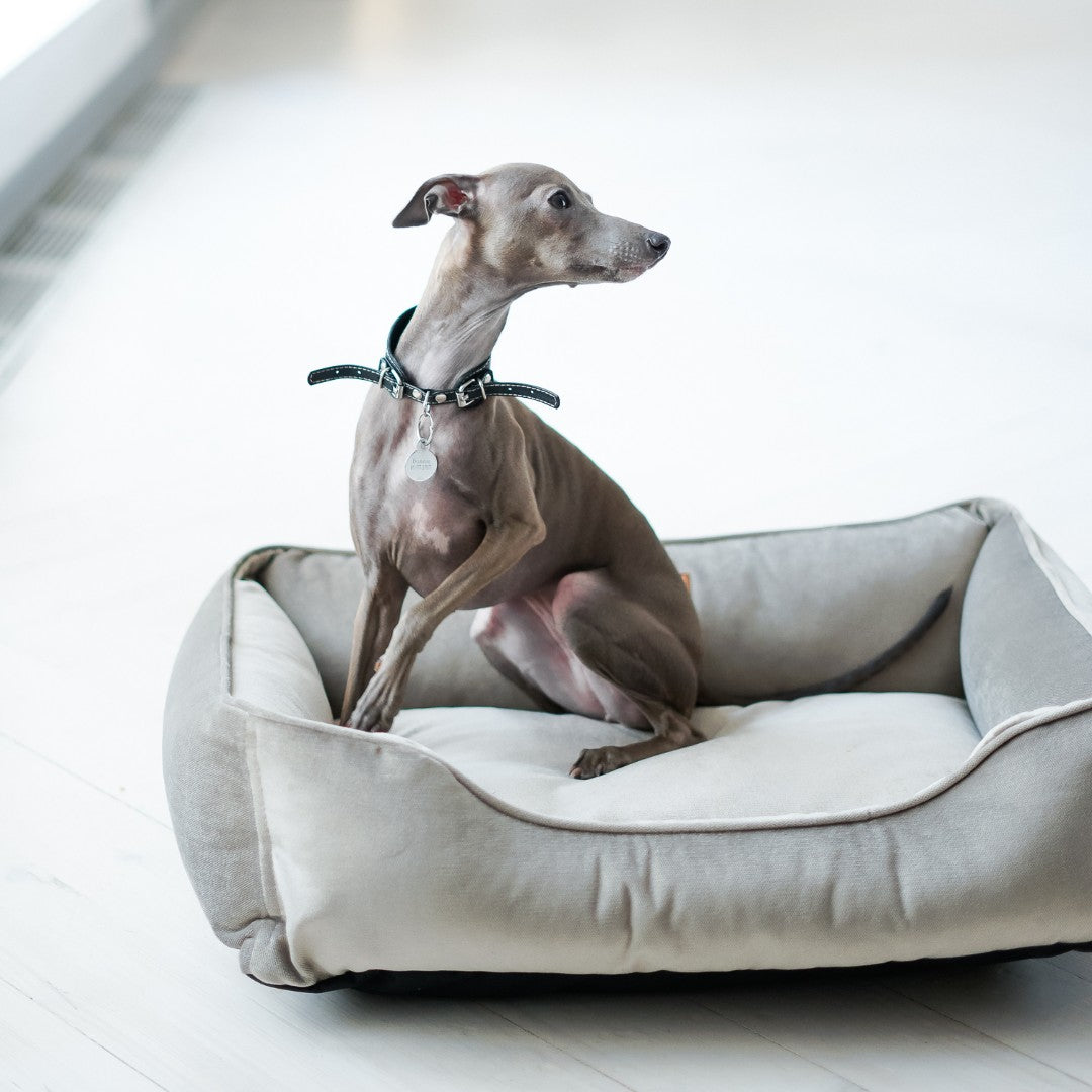Chester & Lee | Classic Velvet Sleeper Dog Bed Gray