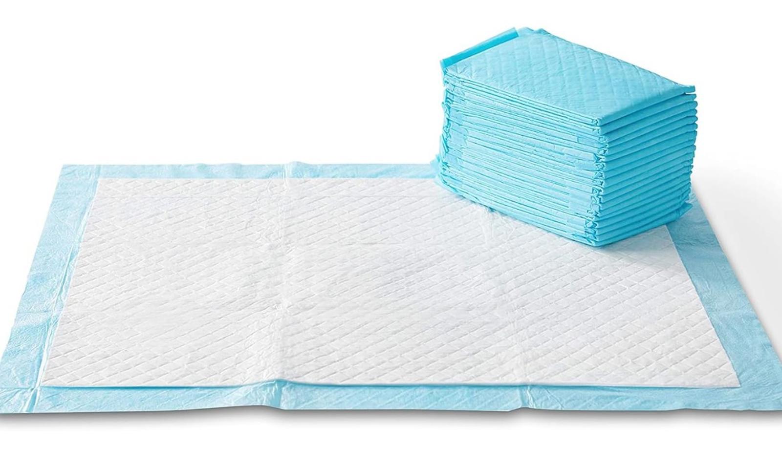 50 Count 22” x 22” Disposable Pads, Leakproof, Absorbent Quick Drying Pads