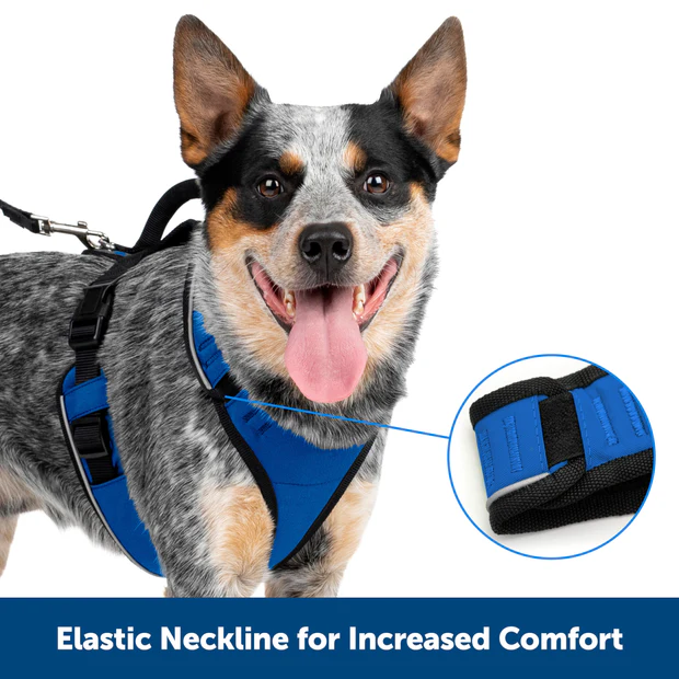 Petsafe Easysport Harness Teal Md