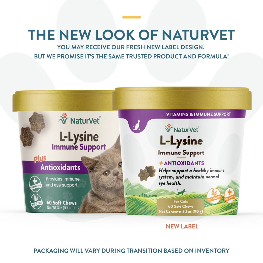 NaturVet Immune L-Lysine Support Cat Chews (60ct) (3.1oz)