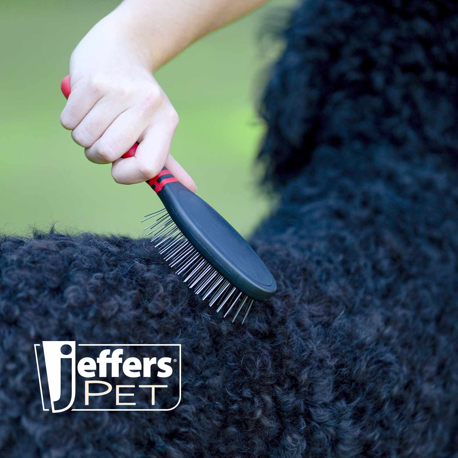 Jeffers Pin Brush for Pet Grooming