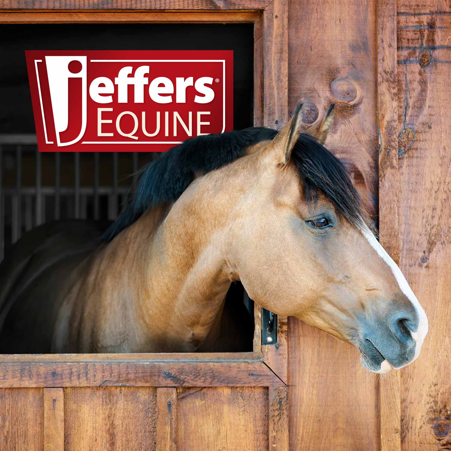 Jeffers Double-Sided Sisal/Microfiber Face Grooming Mitt for Horses