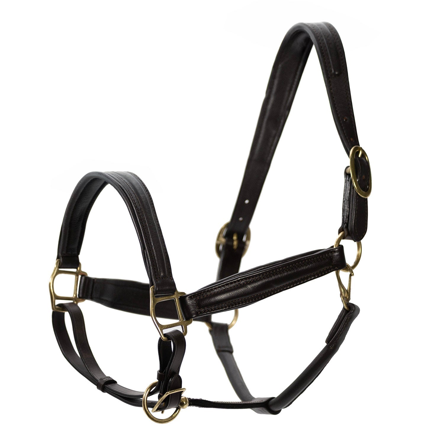 Jeffers Softie Padded Leather Halter for Horses