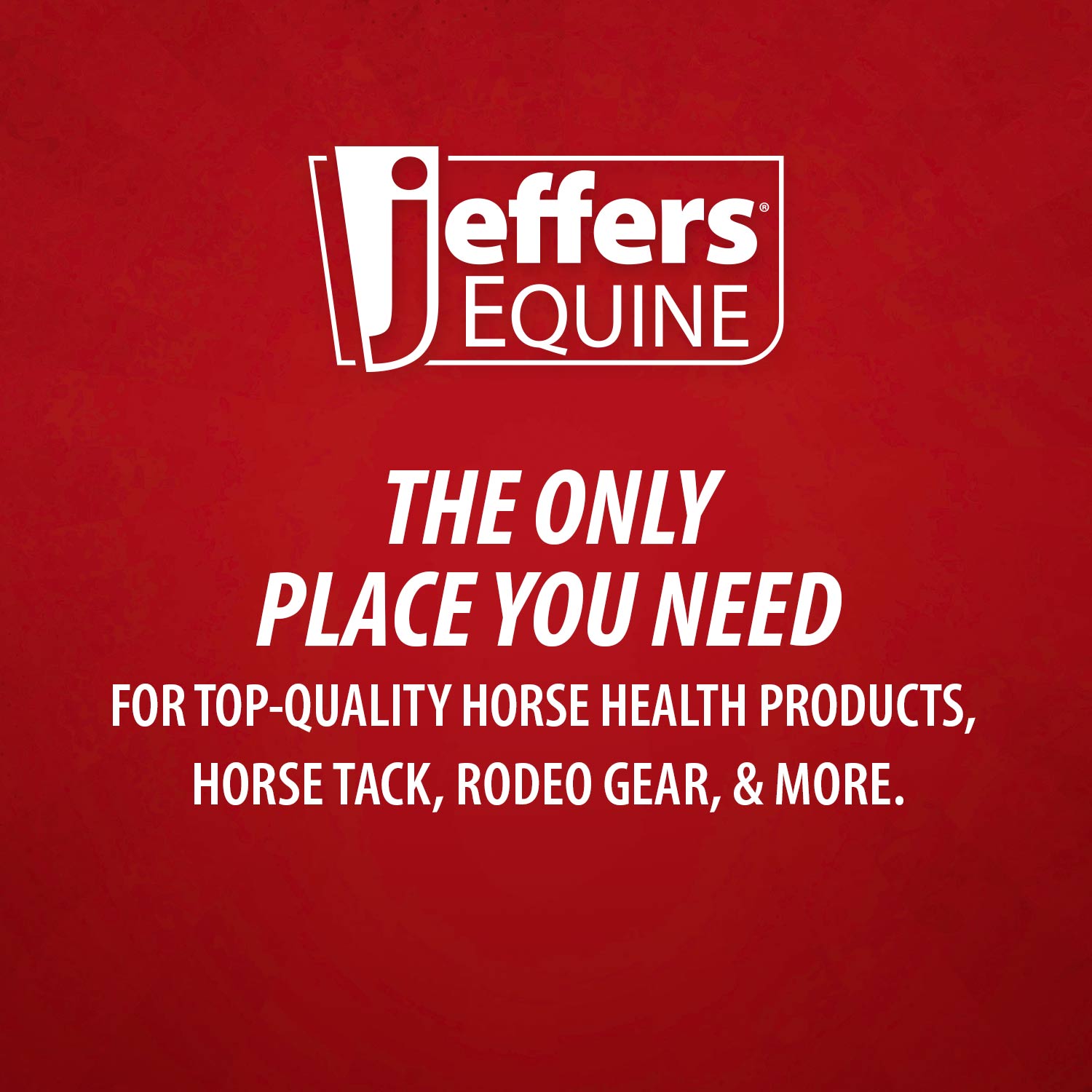 Jeffers Solaris Horse Fly Sheet with Detachable Neck, Grey & Red
