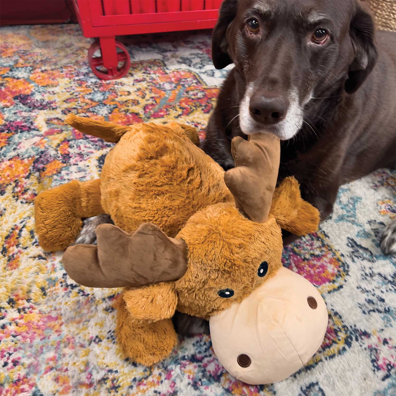 Kong Cozie Jumbo Marvin Dog Toy with Squeaker, XLarge