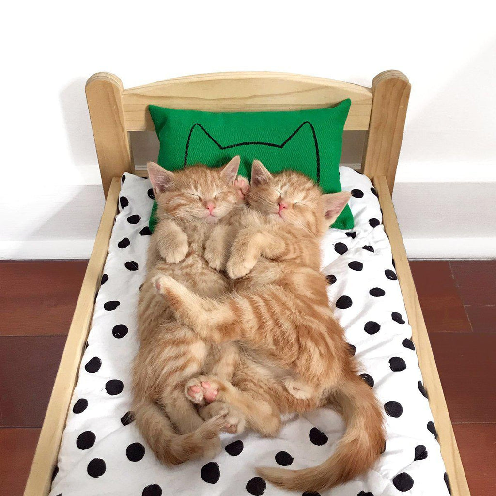 Cat Kicker Bed Pillow Catnip Kicker Toy
