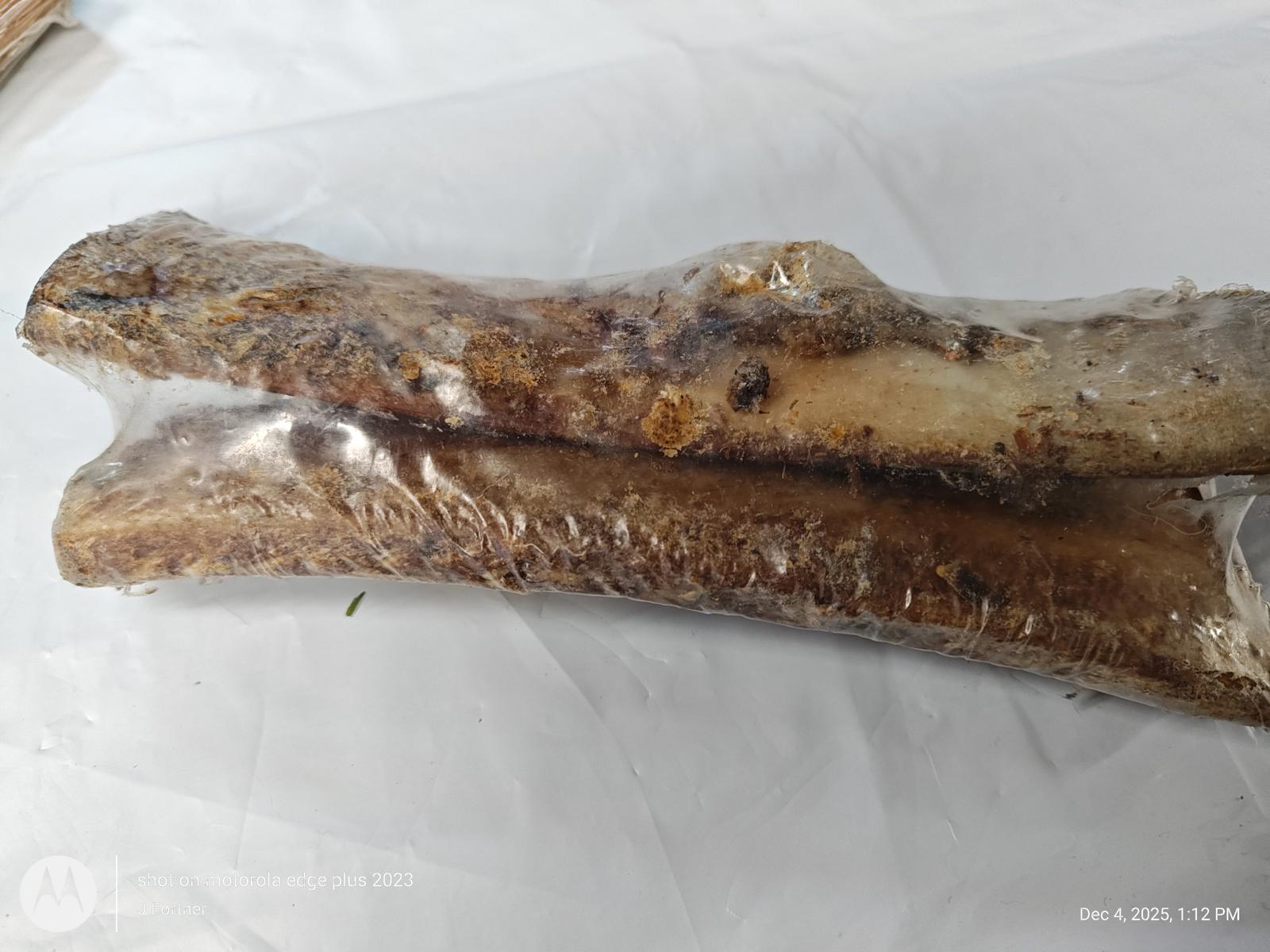 Natural Healthy Beef Buffalo Rib Bones Dog Chews Treats for Dogs 2 Pack