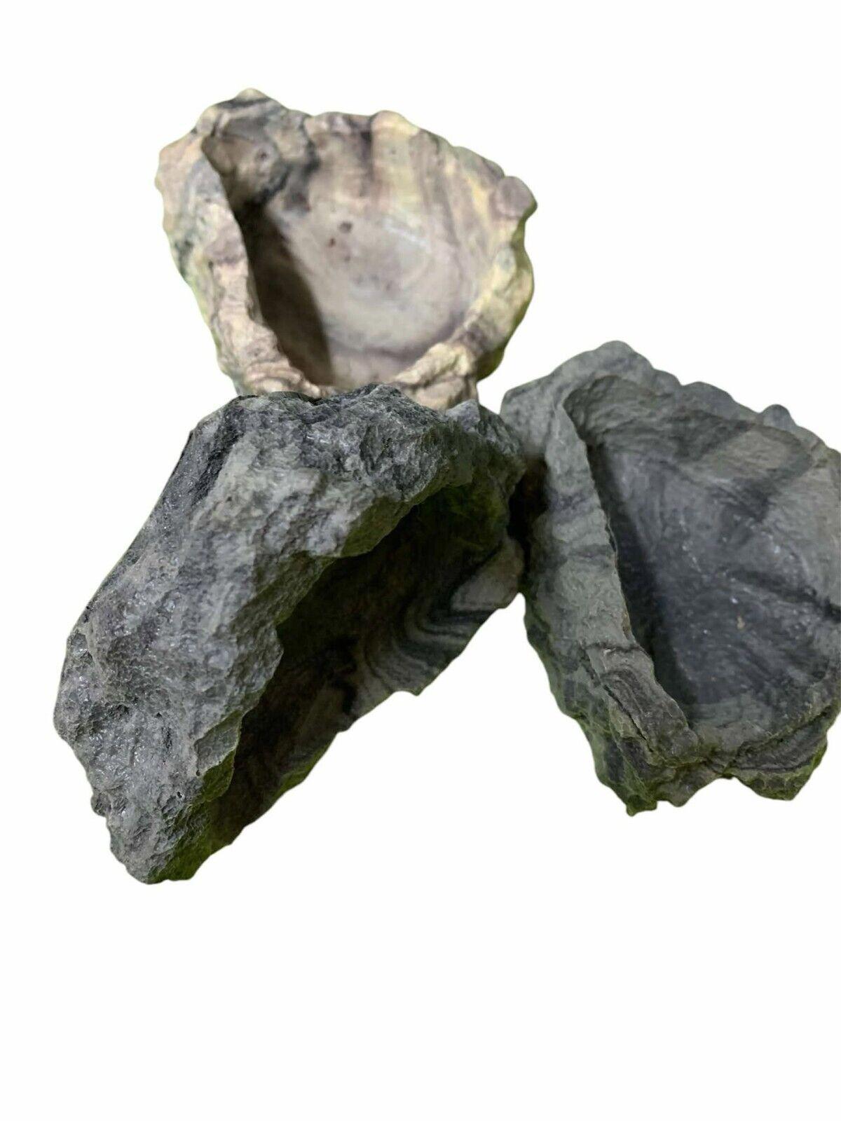 Reptile/Hermit Crab/Tarantula Stone Look Dishes Asst.Colors 48pc