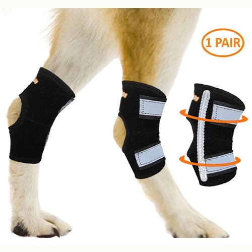 NeoAlly Rear Leg Hock Brace - Metal Spring Strips for Small Dogs [Short Version] (Pair)