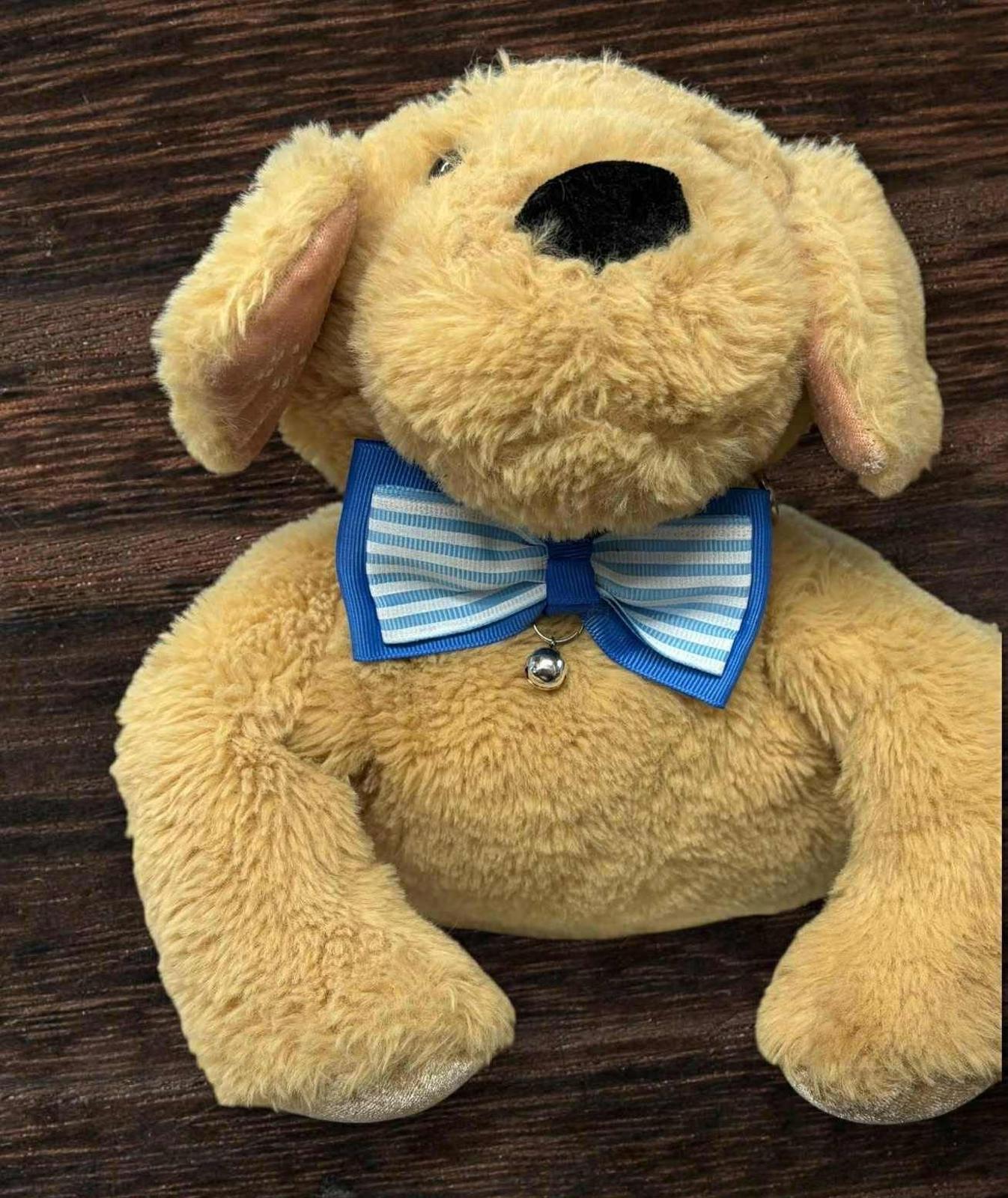 Bowtie  Fashion Dog Collar with Bow Tie  with Bell Adjustable collar up to 12.5"