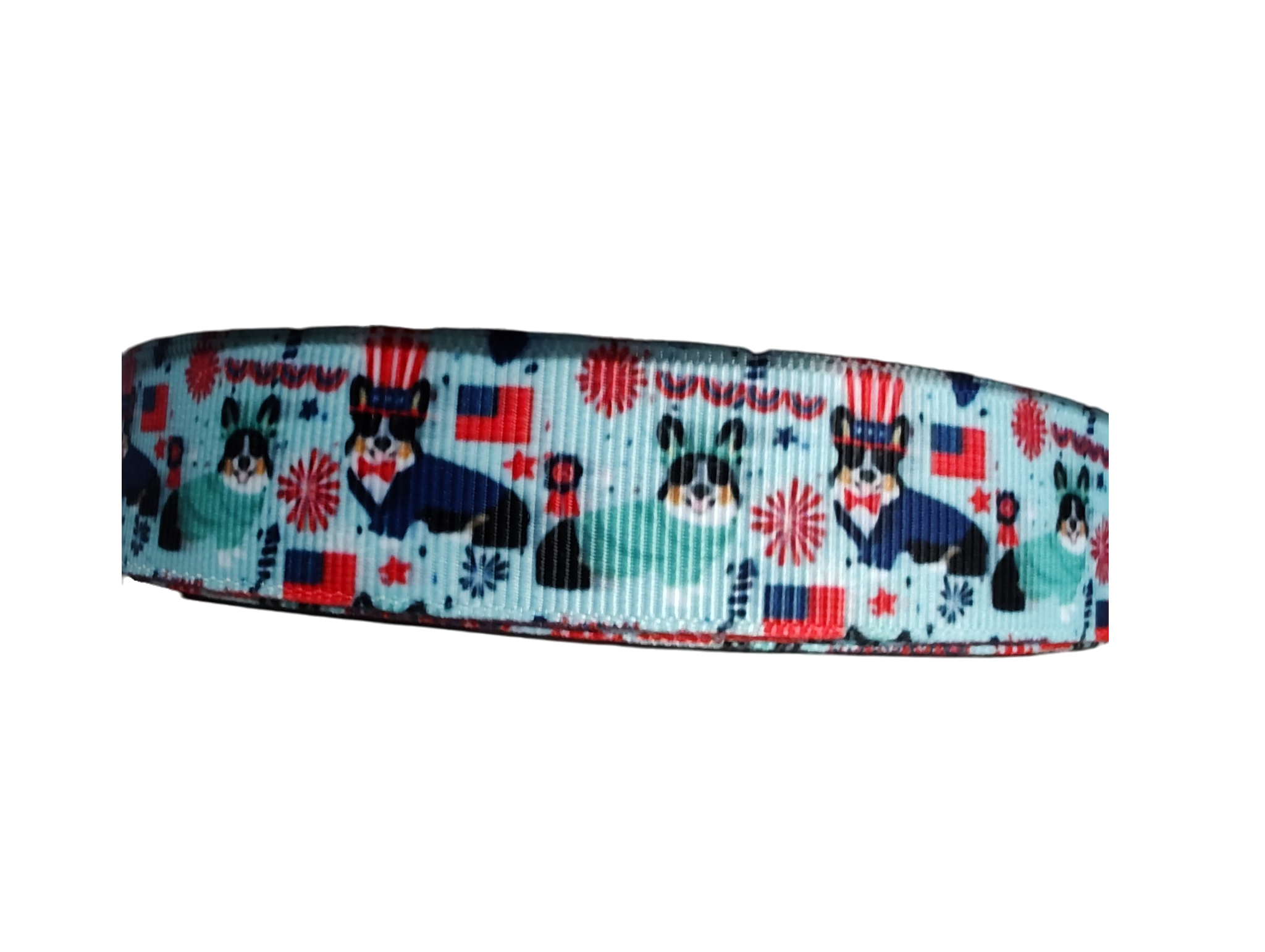 USA Pups Nylon Dog Collar