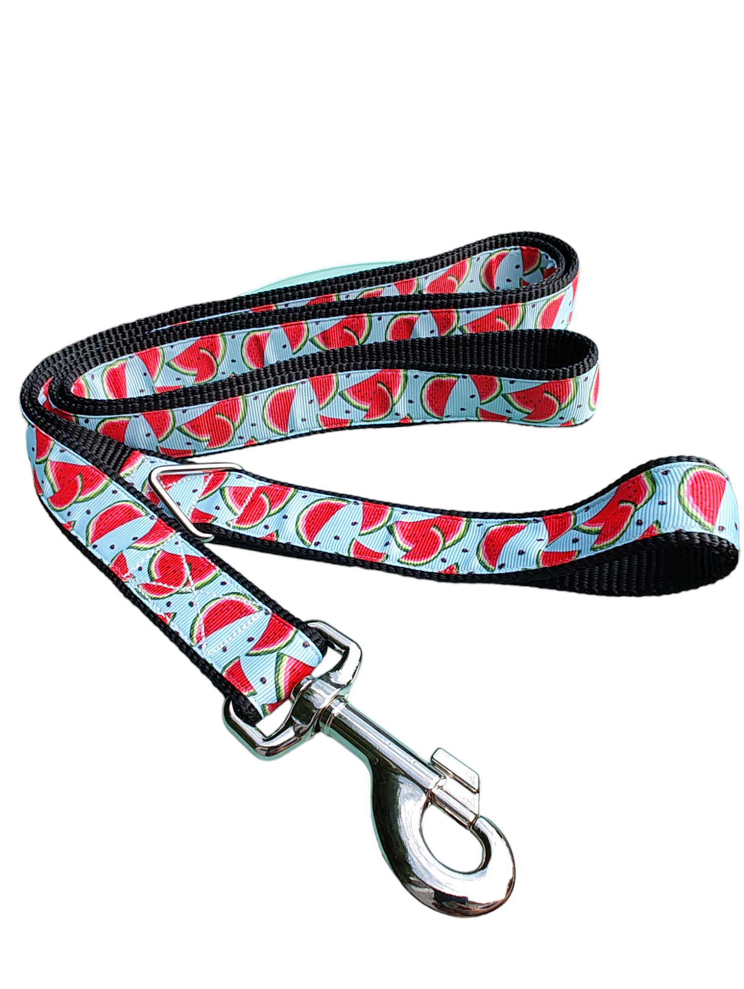 Watermelon Slices Nylon Dog Collar