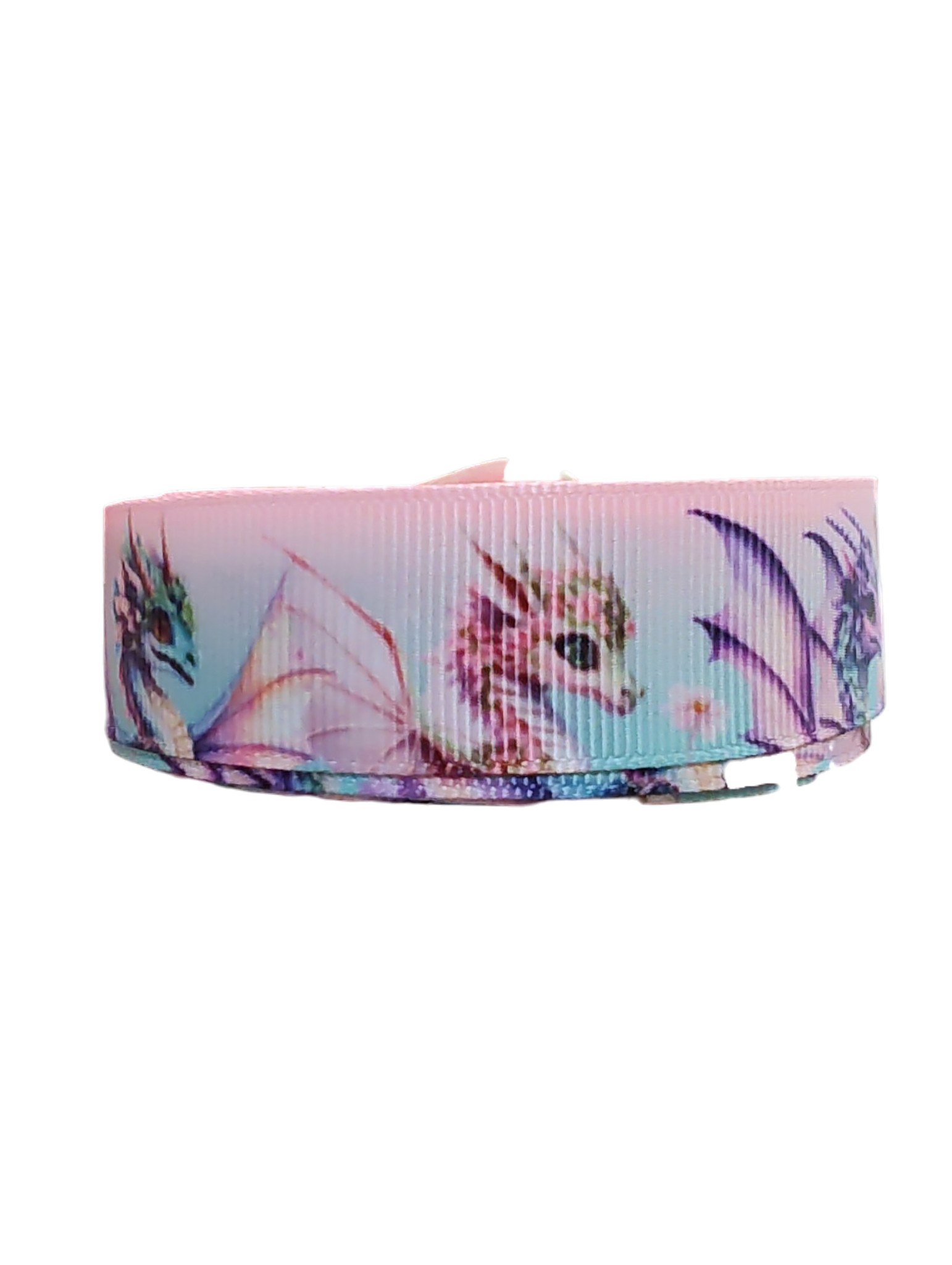Fantasy Dragons Nylon Dog Collar