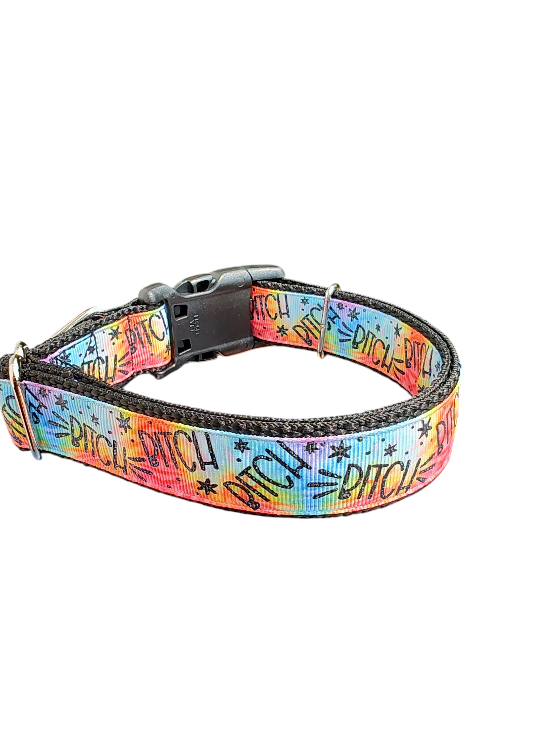 Bitch Rainbow Nylon Dog Collar
