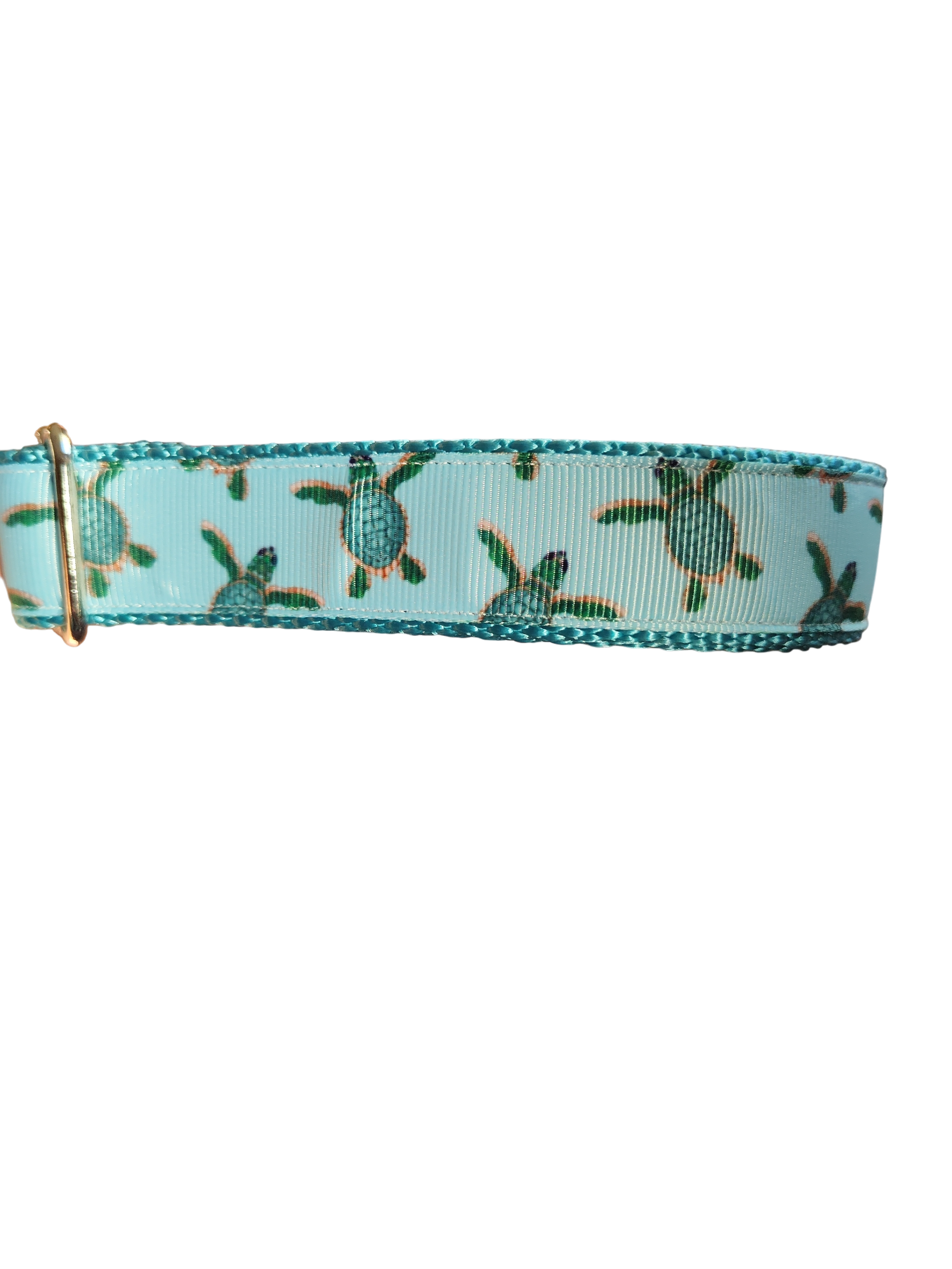 Baby Sea Turtles Nylon Dog Collar