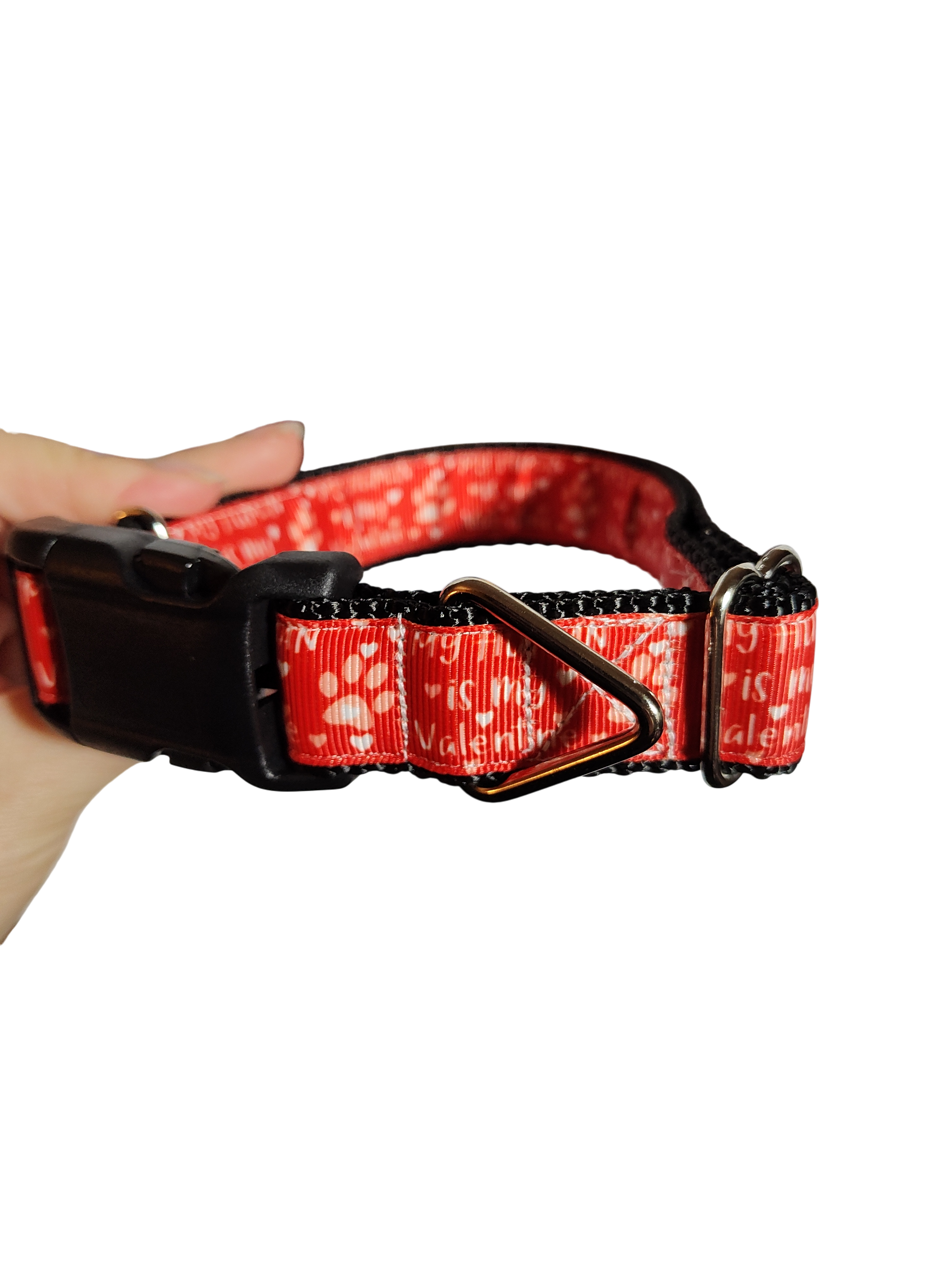 My Human Is My Valentine Nylon Dog Collar