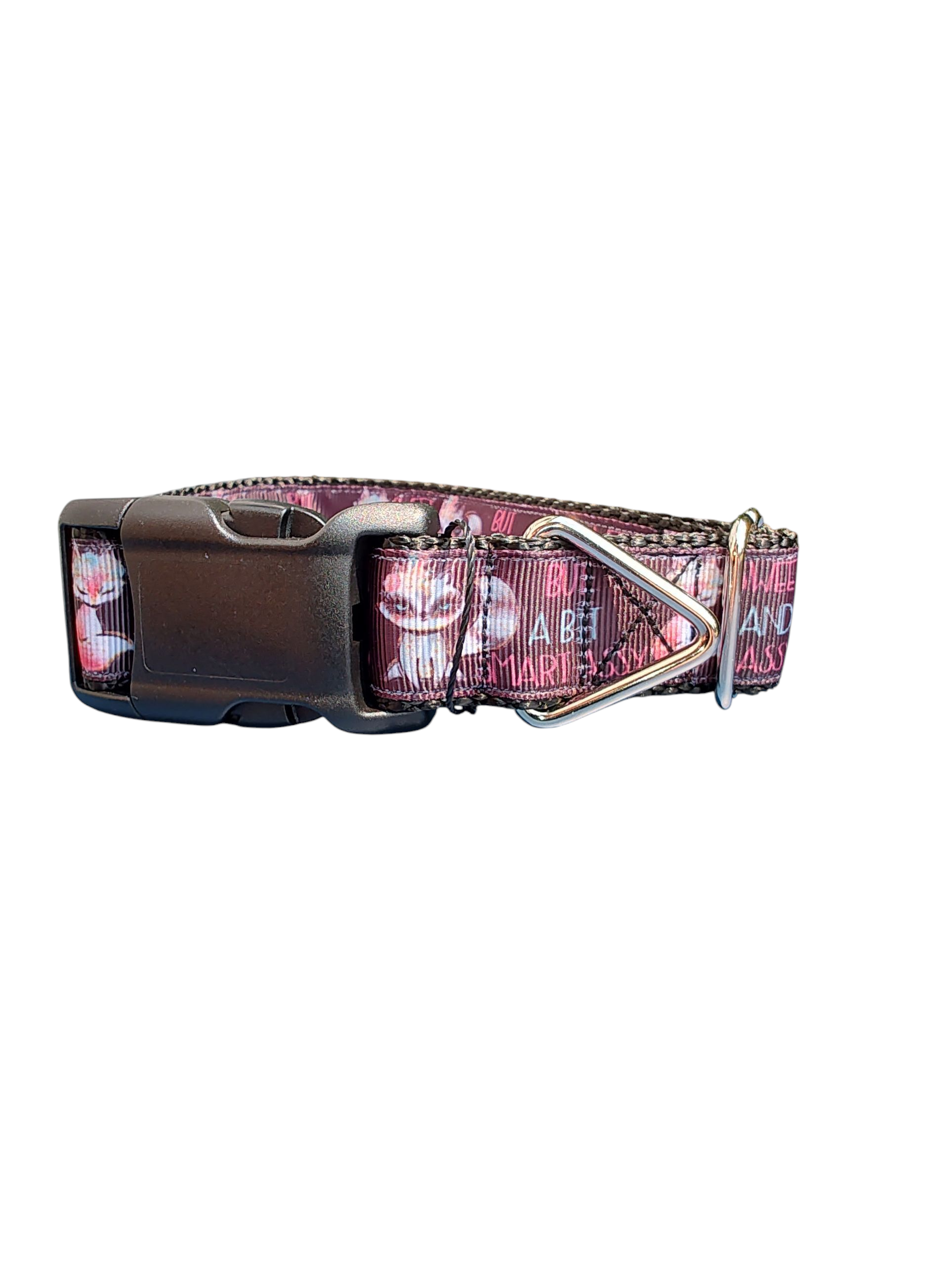 Sweet, Sassy, Smart Assy Nylon Dog Collar