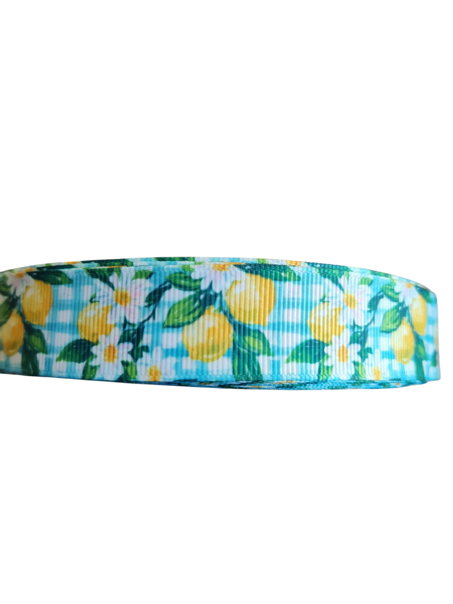 Gingham Lemons Nylon Dog Collar