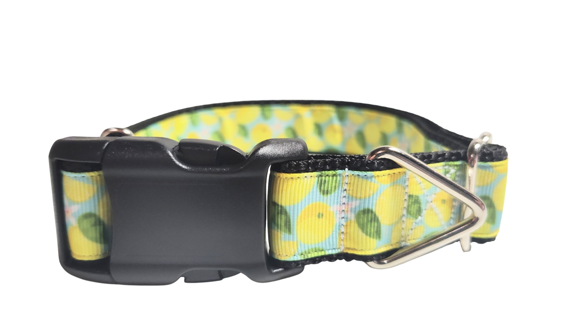 Lemons Nylon Dog Collar
