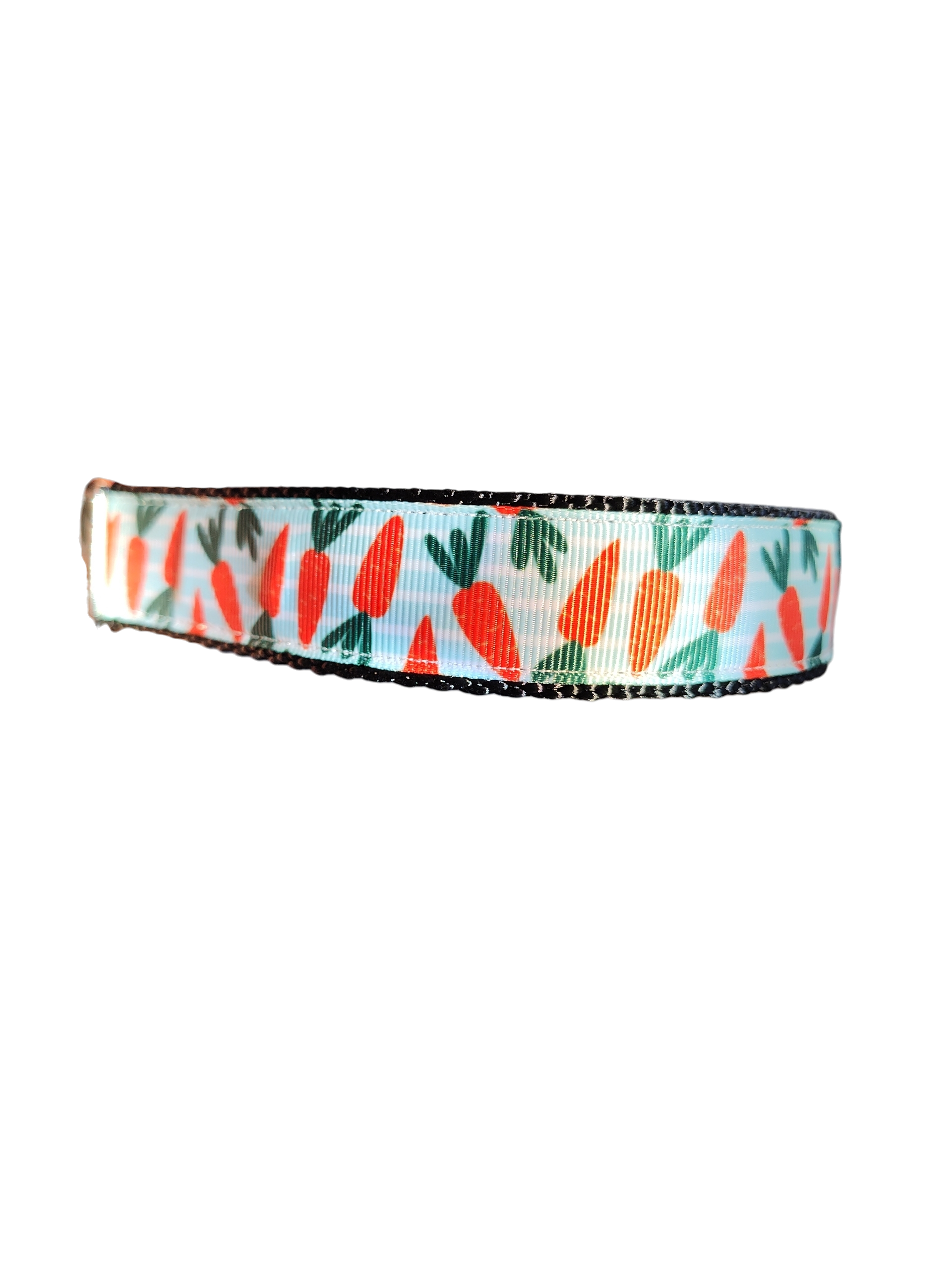Carrots Nylon Dog Collar