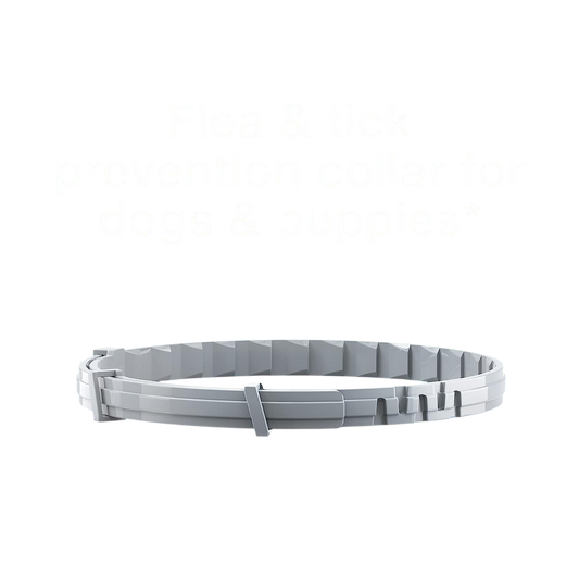 Seresto Flea and Tick Dog Collar - 8 Month Protection