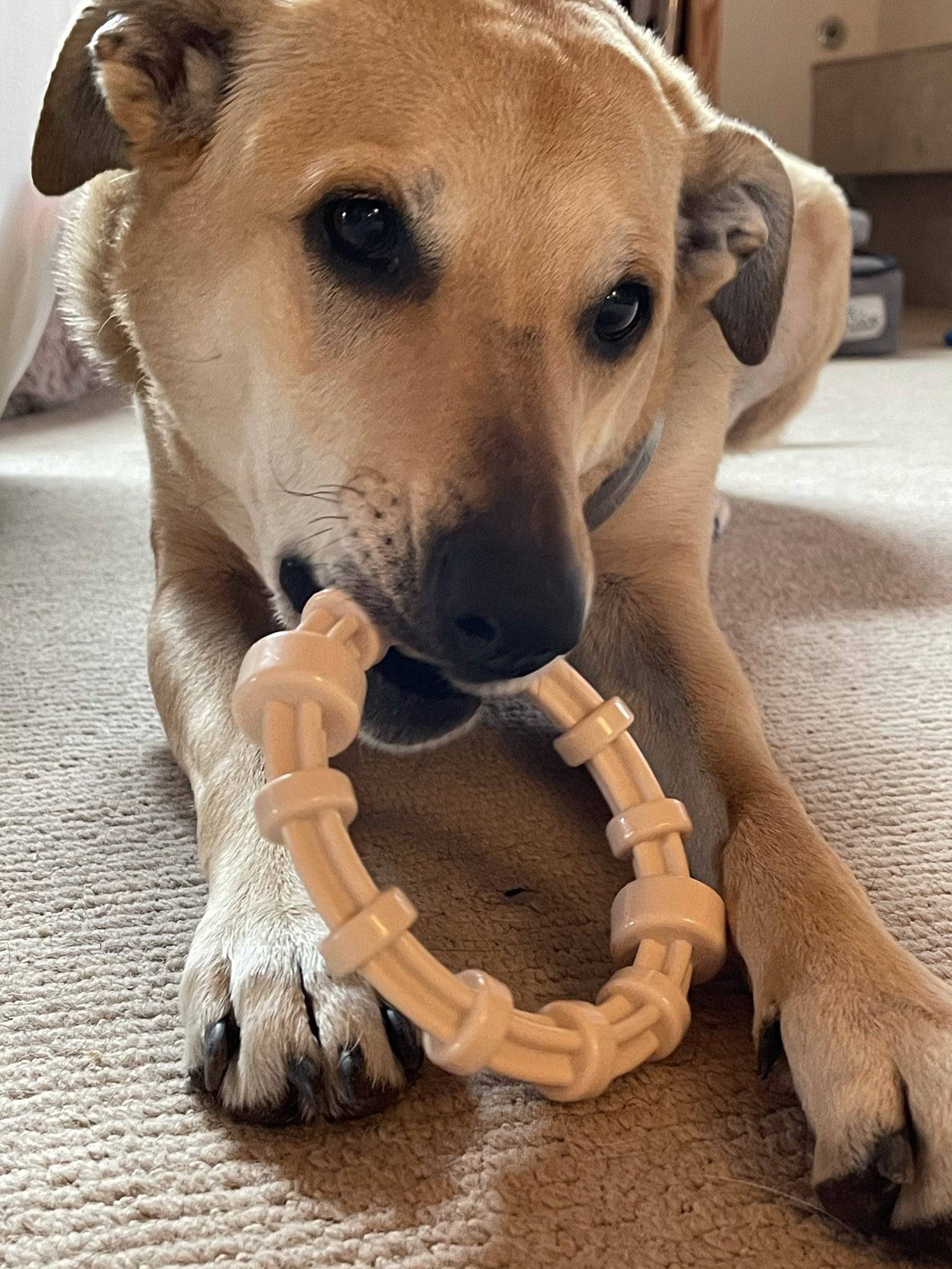 Chicken Flavored Teething Ring for Puppies & Aggressive Chewers | USA Made