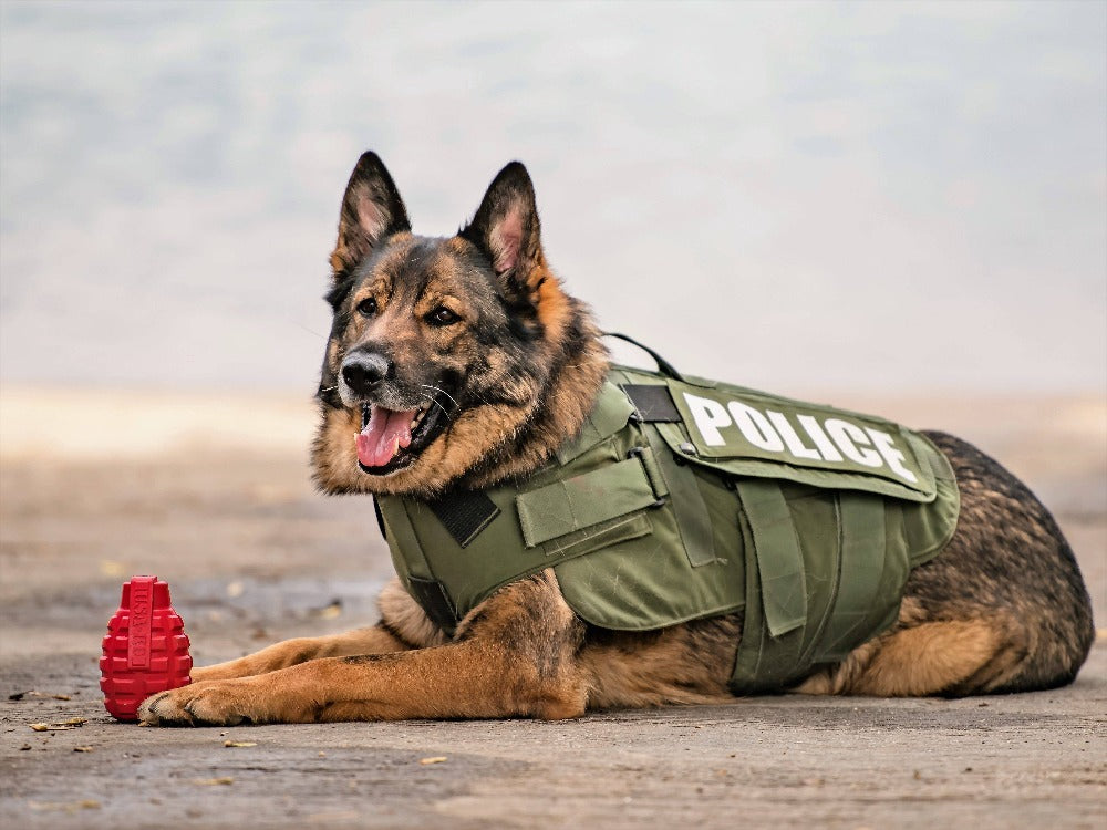 USA-K9 Grenade Rubber Dog Chew Toy | K9 Handler eDispenser Toy | Red & Blue | USA Made