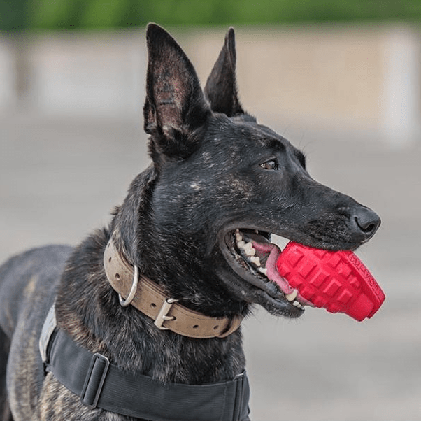 USA-K9 Grenade Shaped eDispenser Durable Dog Chew Toy & Treat Dispenser - Magnum Black