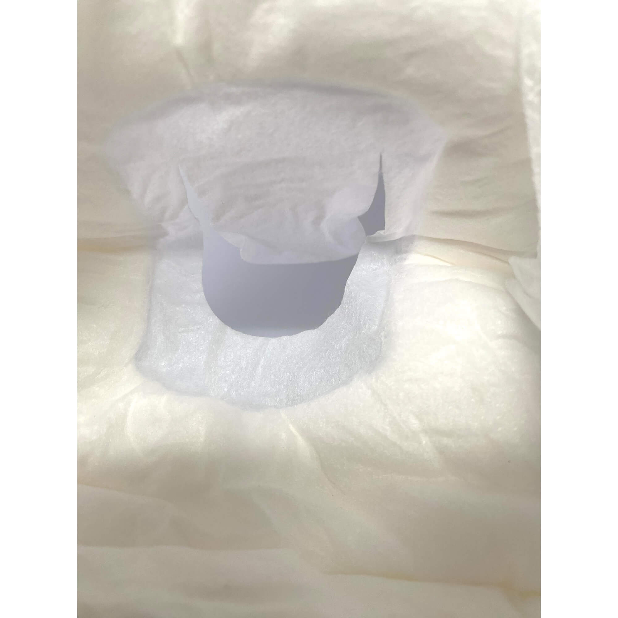 WizSmart UltraDry Disposable Diapers
