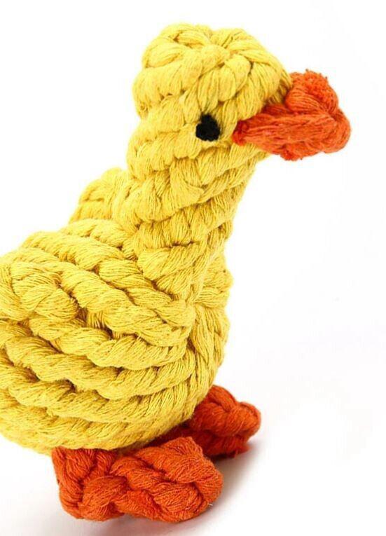 Assorted Eco Dog Toy ( 4 Asstorted toys)